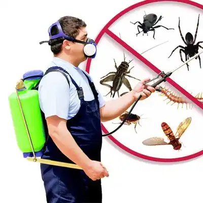 pest control Red Oak